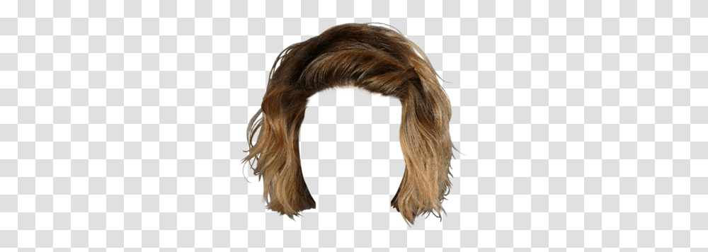 Lace Wig, Hair, Person, Human, Head Transparent Png