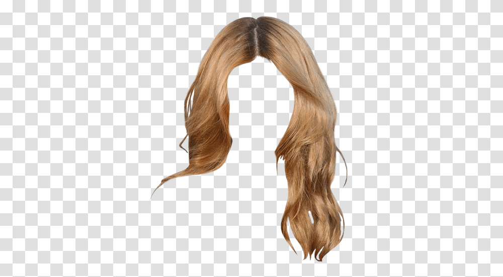 Lace Wig, Hair, Person, Human, Horse Transparent Png