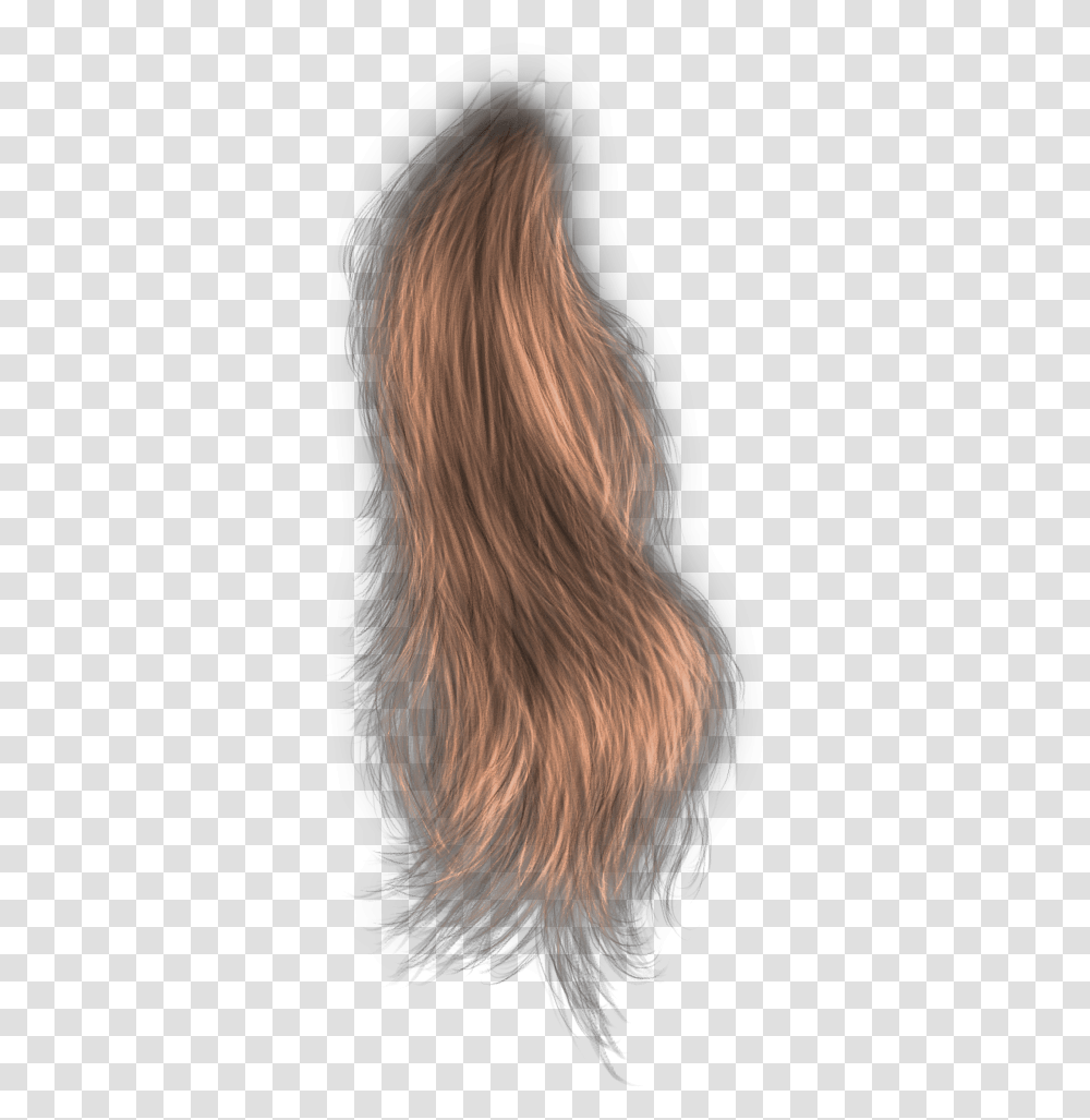 Lace Wig, Hair, Person, Human, Neck Transparent Png
