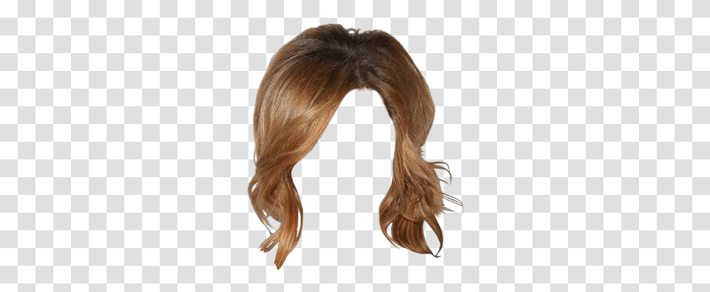 Lace Wig, Hair, Person, Human, Ponytail Transparent Png