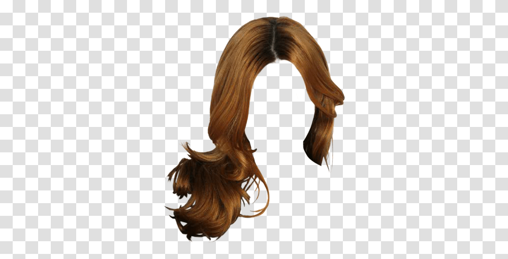 Lace Wig, Hair, Person, Human, Ponytail Transparent Png