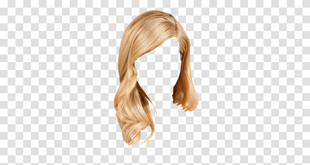 Lace Wig, Hair, Ponytail, Person, Human Transparent Png