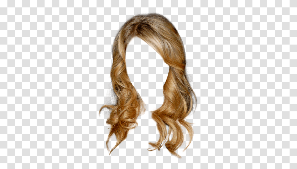 Lace Wig, Hair, Ponytail, Person, Human Transparent Png