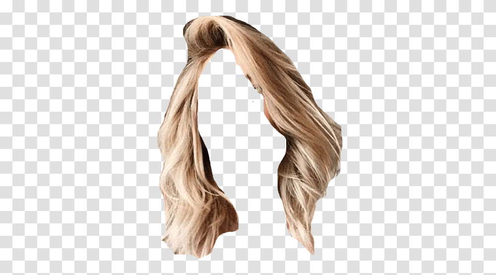 Lace Wig, Hair, Ponytail, Person, Human Transparent Png