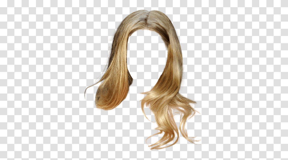 Lace Wig, Hair, Ponytail, Person, Human Transparent Png