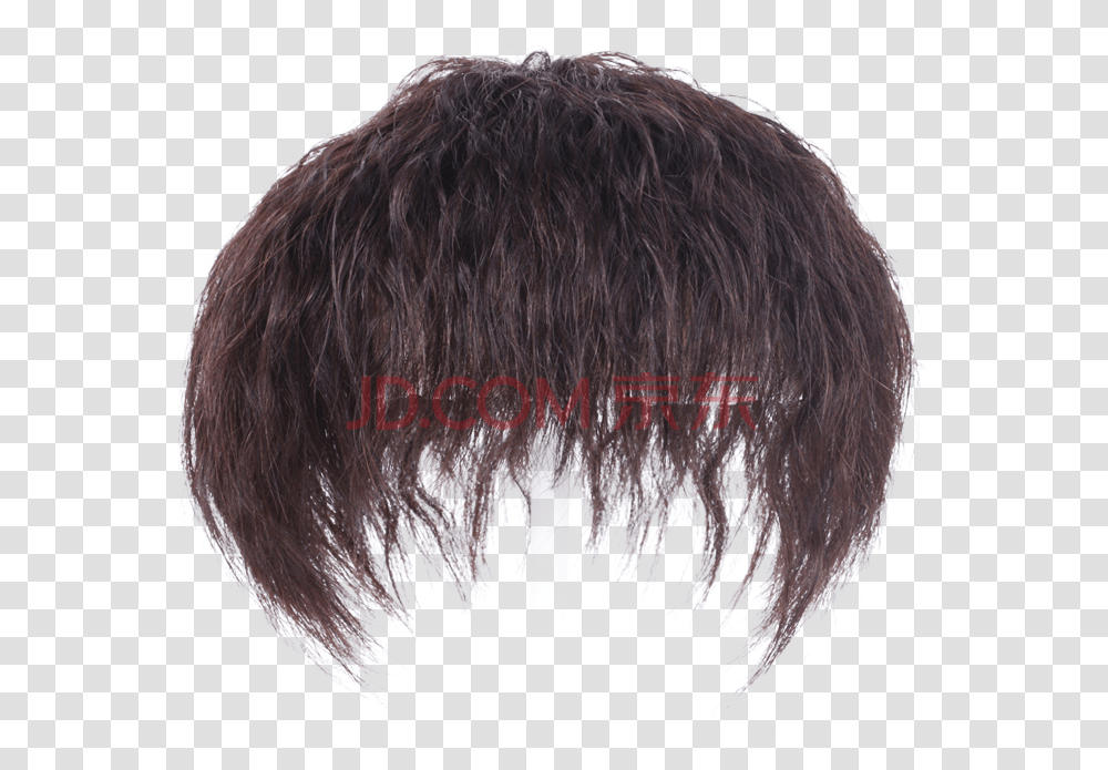 Lace Wig, Pattern, Fur, Animal, Wolf Transparent Png