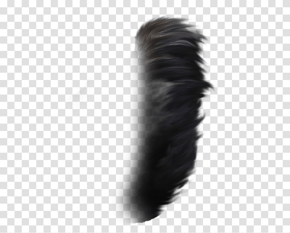 Lace Wig, Person, Animal, Mammal, Fractal Transparent Png