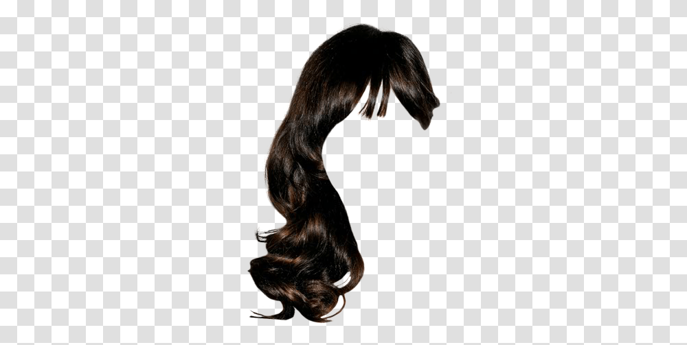 Lace Wig, Person, Animal, Mammal, Leisure Activities Transparent Png