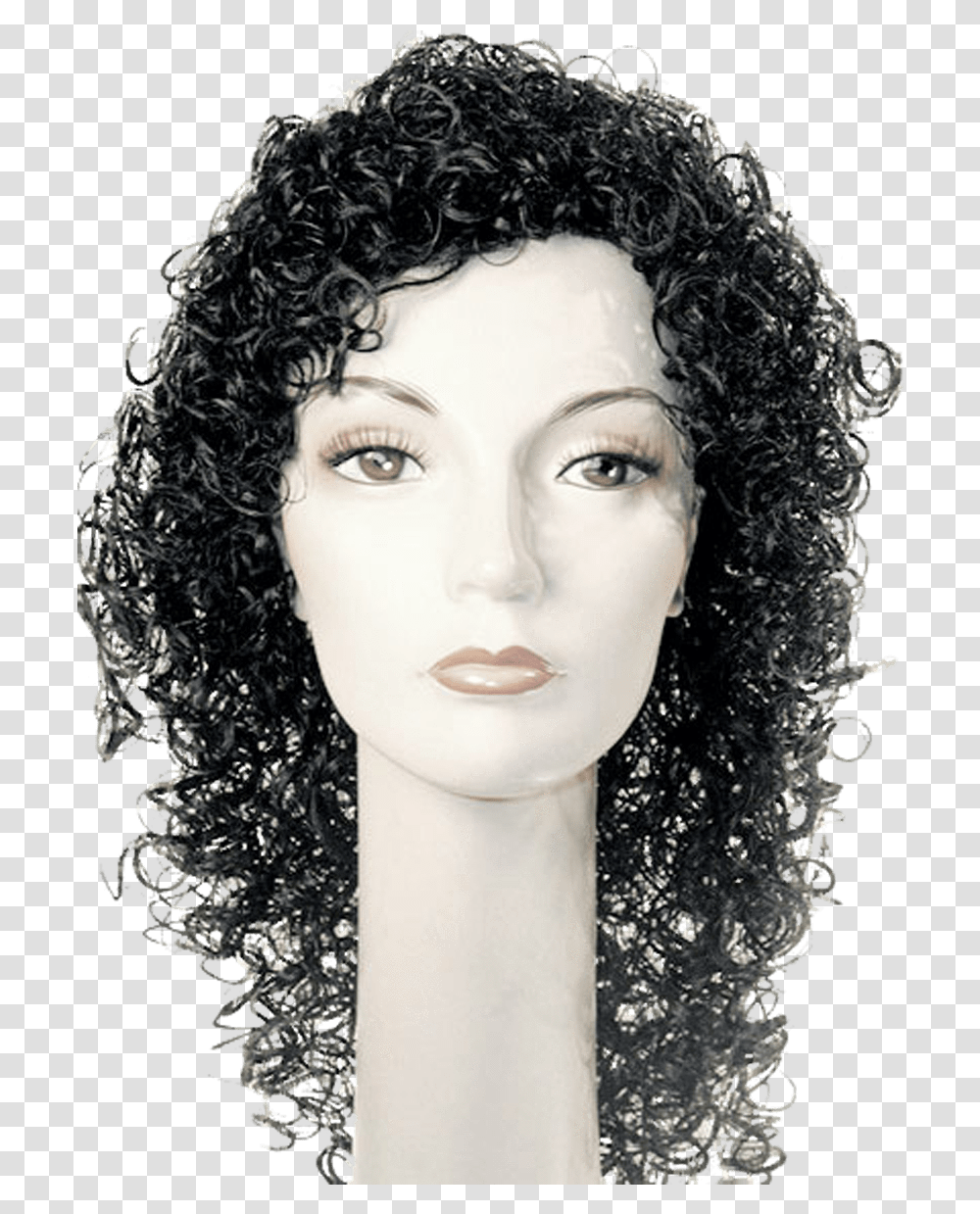 Lacey Costume Janet Jackson Janet Jackson Wigs, Hair, Person, Human, Black Hair Transparent Png