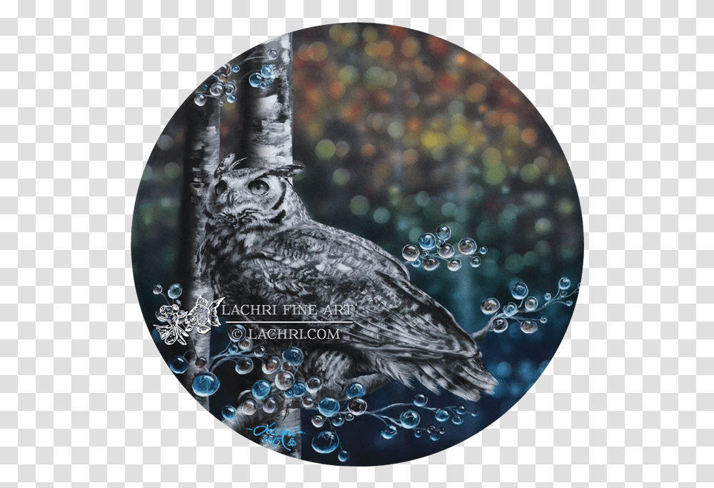 Lachri Fine Art Owl, Bird, Animal, Bubble, Nature Transparent Png