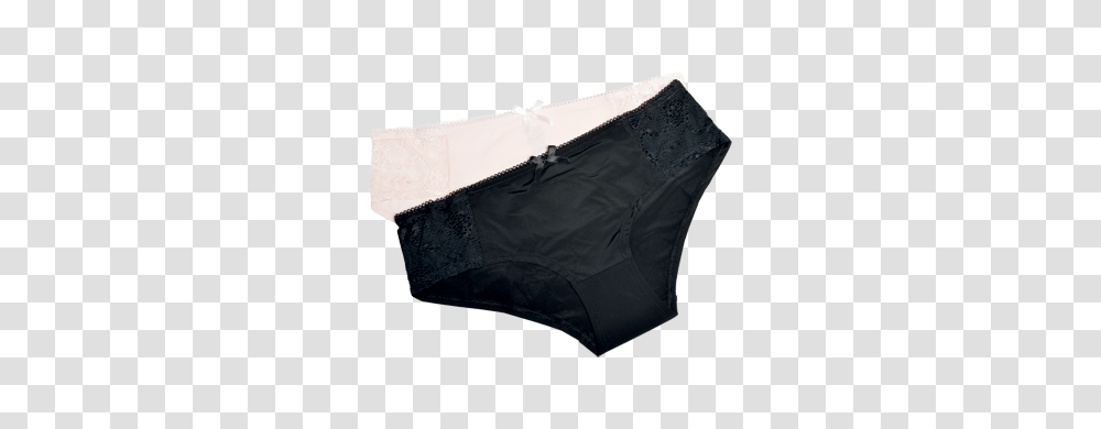 Ladies Lace Bikini Panties Units Large Styliss Underwear, Apparel, Lingerie, Bra Transparent Png