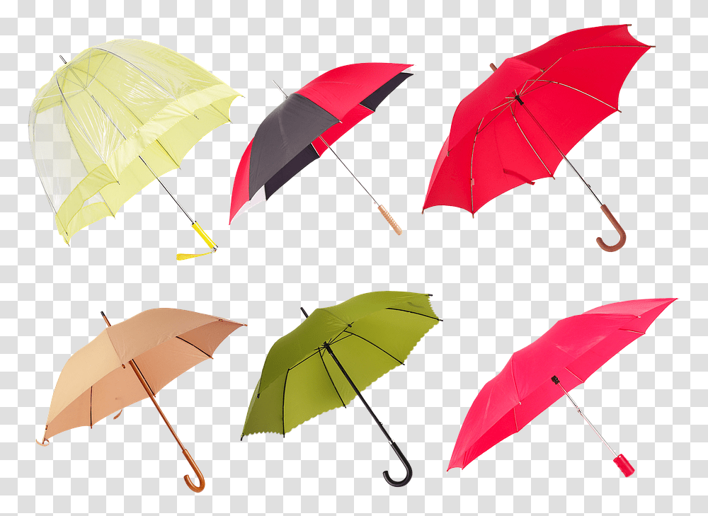 Ladies Umbrella, Canopy, Patio Umbrella, Garden Umbrella Transparent Png