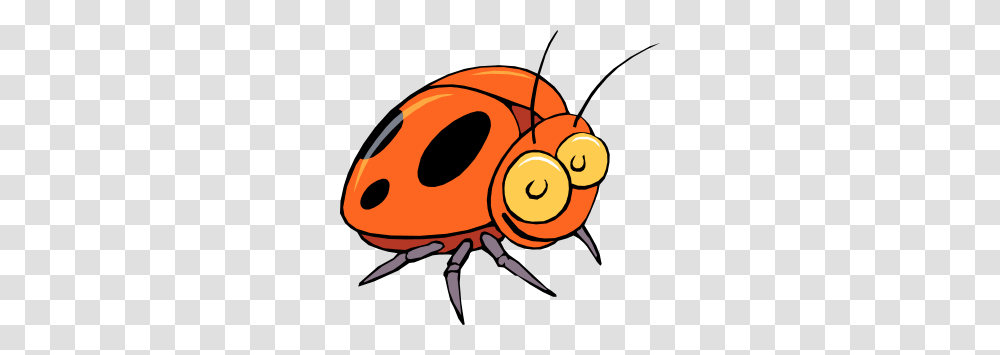 Lady Beetle Clipart, Insect, Invertebrate, Animal, Cockroach Transparent Png