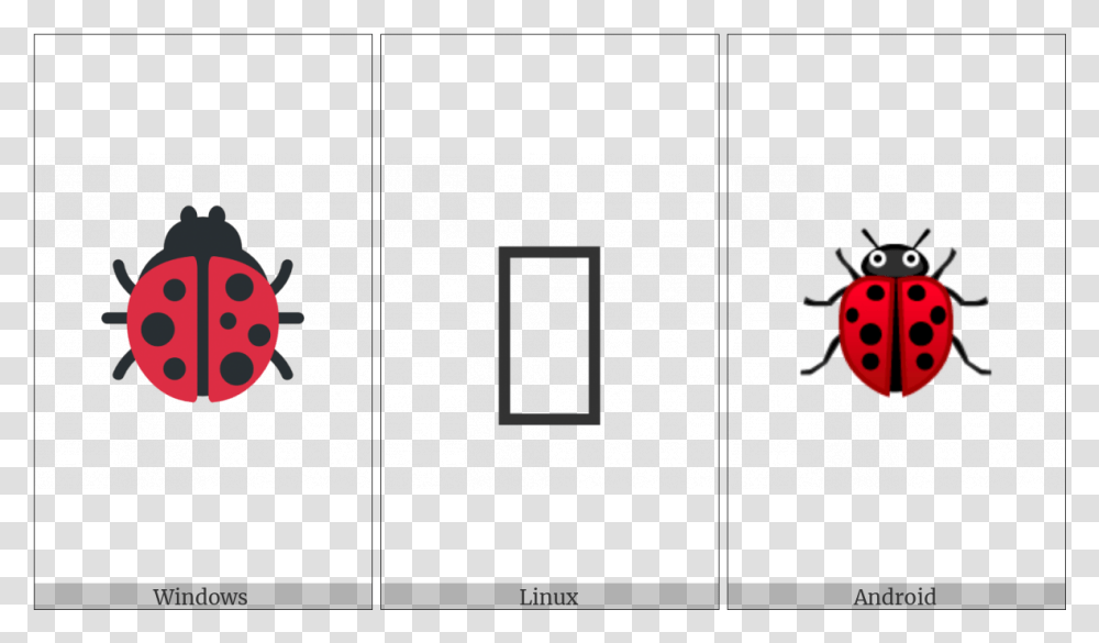Lady Beetle On Various Operating Systems Ladybug, Team Sport, Sports Transparent Png