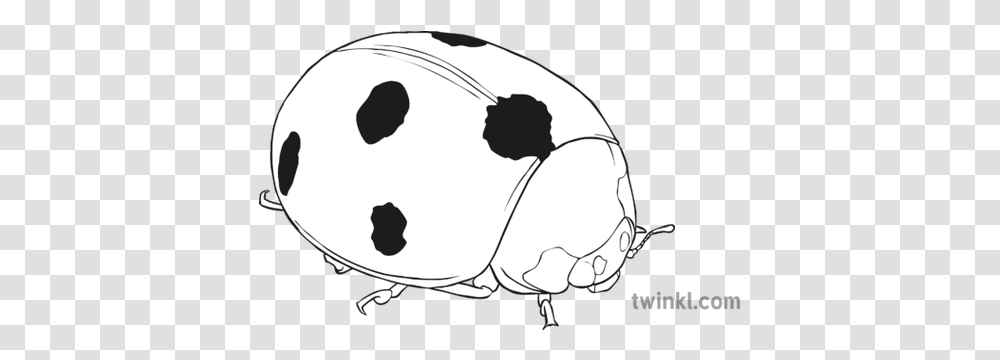 Lady Bird Black And White Illustration Person With Speech And Thought Bubbles, Cushion, Pillow, Animal, Invertebrate Transparent Png