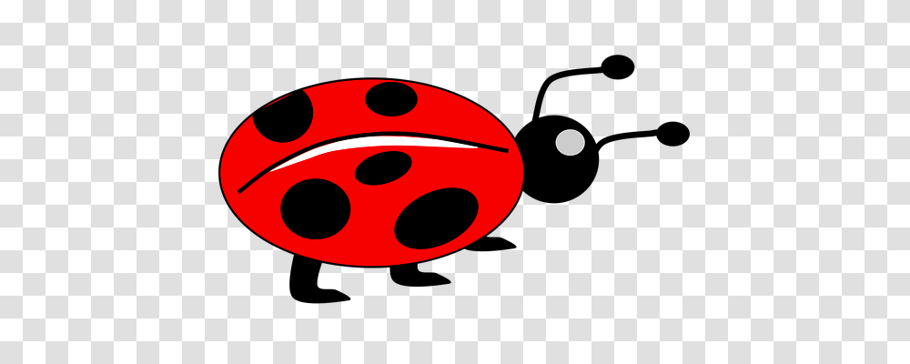 Lady Bug Animals, Goggles, Accessories, Accessory Transparent Png