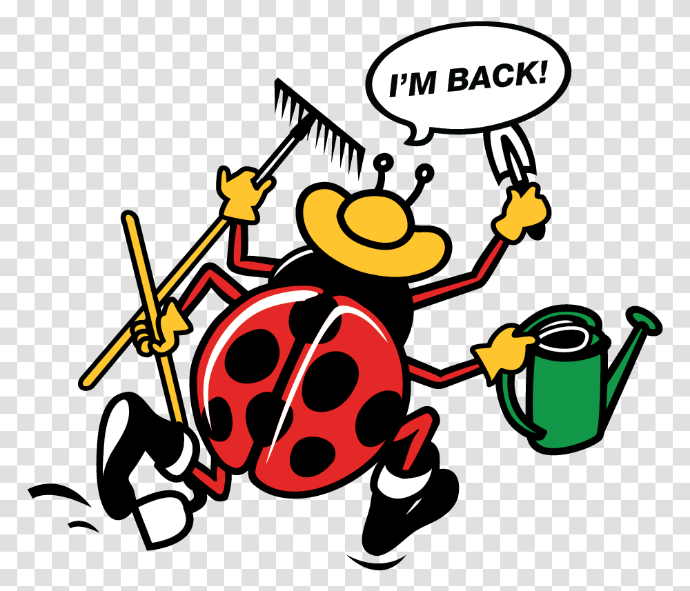 Lady Bug Cartoon Saying I'm Back, Can, Tin, Stencil Transparent Png