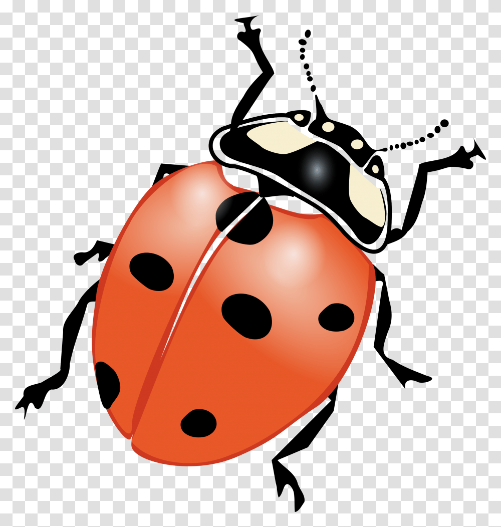 Lady Bug Clip Art Black And White Ladybug Clipart, Plant, Food, Fruit, Texture Transparent Png