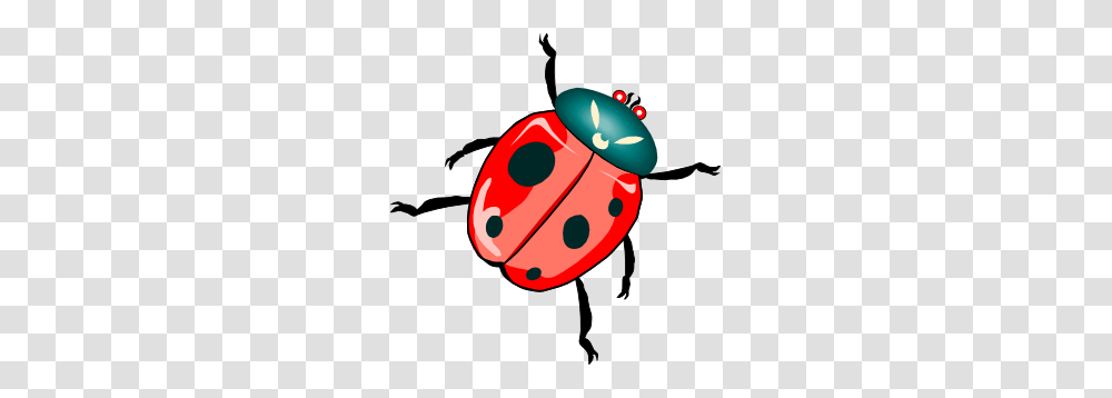 Lady Bug Clip Art, Insect, Invertebrate, Animal, Tick Transparent Png