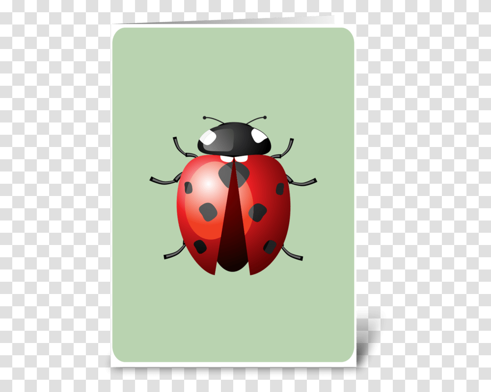 Lady Bug Greeting Card Insects And Bugs, Invertebrate, Animal, Dung Beetle, Giant Panda Transparent Png