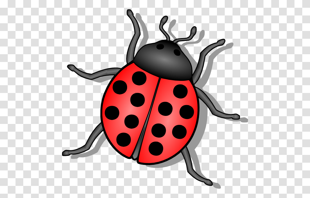 Lady Bug Svg Clip Arts Insect Clipart, Animal, Invertebrate, Photography, Wasp Transparent Png