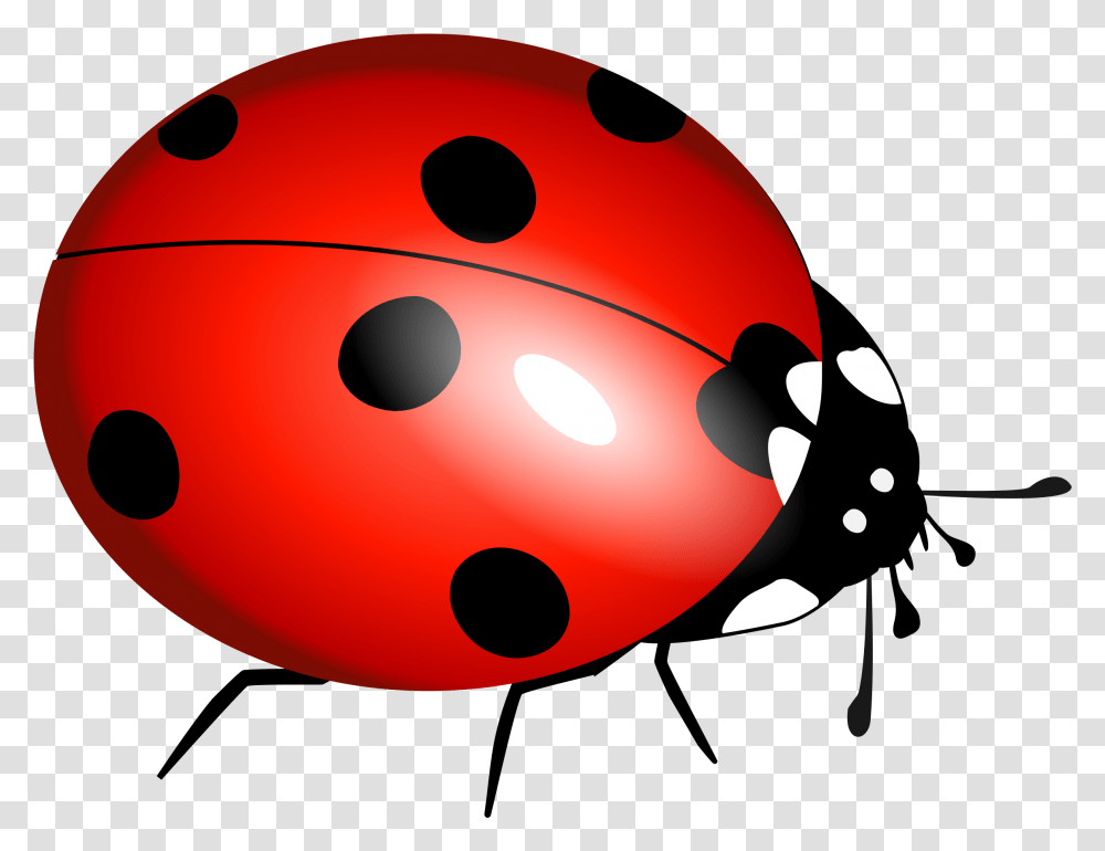 Lady Bugs Ladybird, Ball, Sport, Sports, Sphere Transparent Png