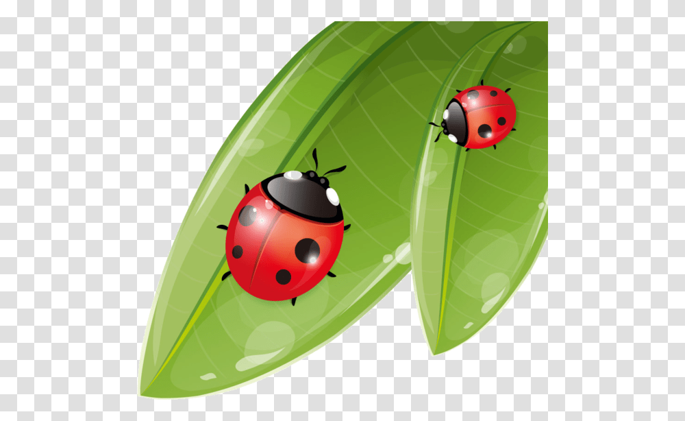 Lady Bugs Ladybugs On The Leaf Clipart, Plant, Fruit, Food, Avocado Transparent Png