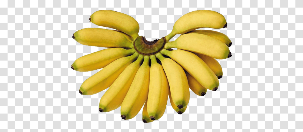 Lady Finger Banana Fruit, Plant, Food Transparent Png