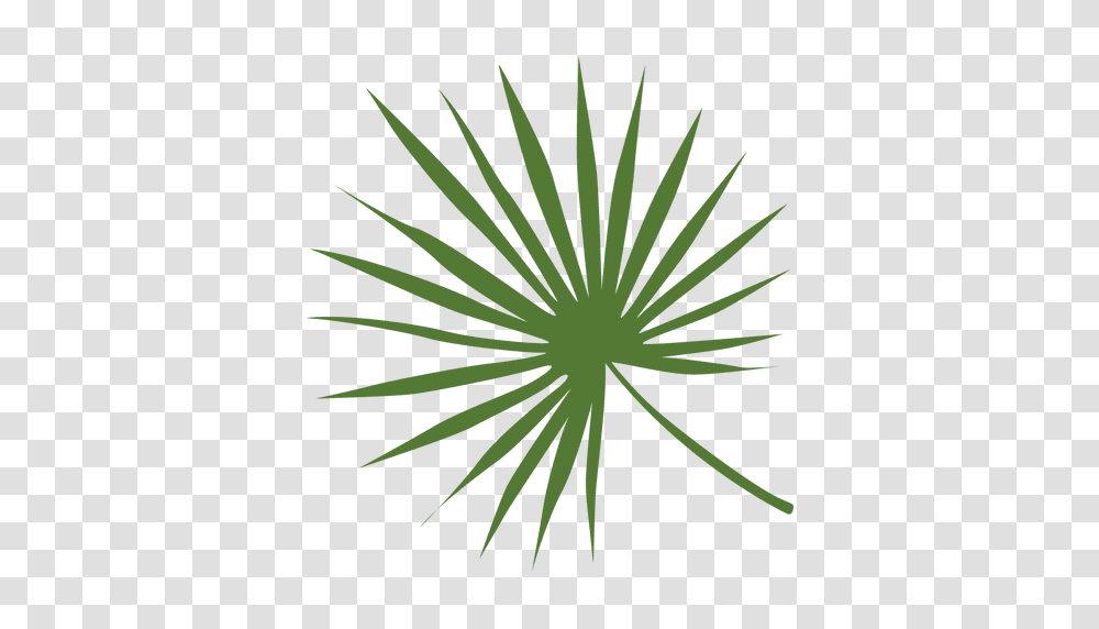 Lady Palm Leaf Illustration, Green, Plant, Vegetation, Flower Transparent Png