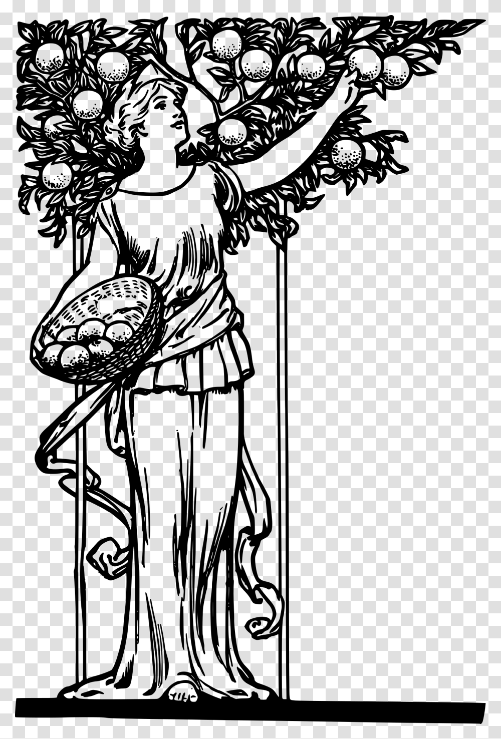 Lady Picking Oranges Clip Arts Drawings On Good Tree Bears Good Fruit, Gray, World Of Warcraft Transparent Png