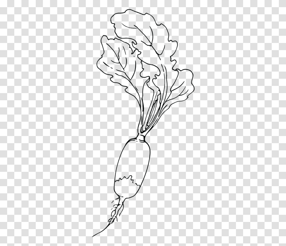 Lady Tulip, Nature, Outdoors, Plant, Flower Transparent Png