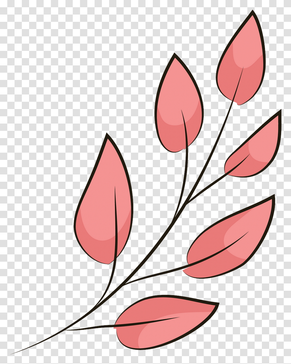 Lady Tulip, Petal, Flower, Plant, Blossom Transparent Png