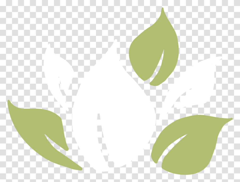 Lady Tulip, Plant, Seed, Grain, Produce Transparent Png