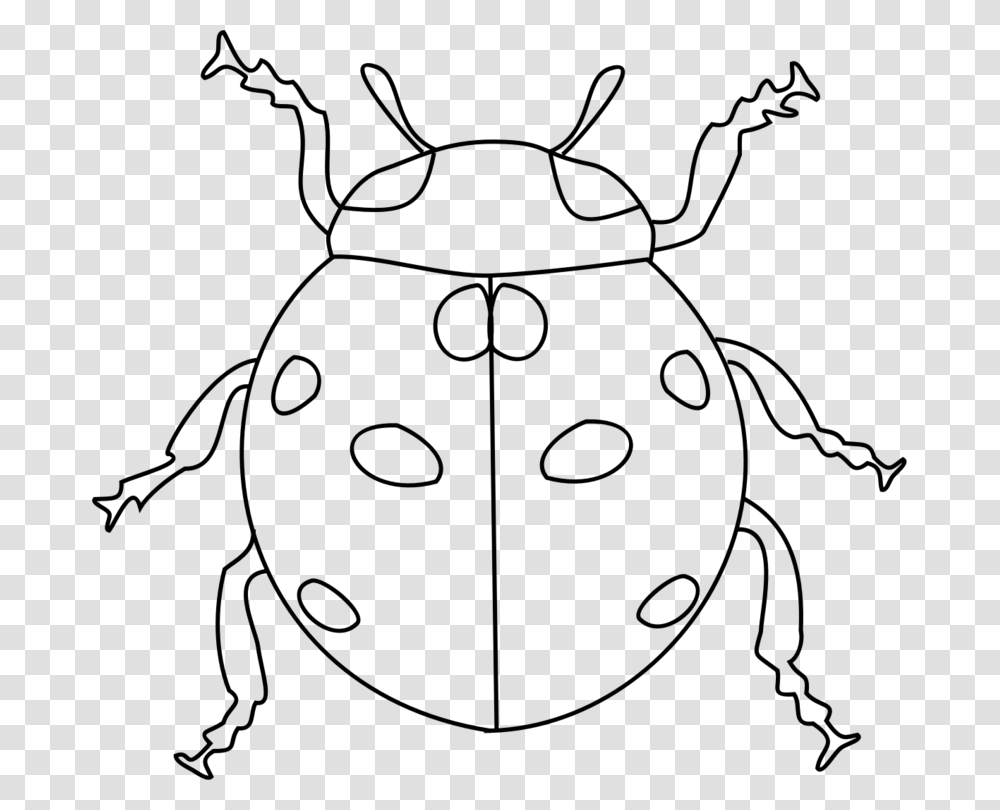 Ladybird Beetle Black And Ladybird Images Black And White, Gray, World Of Warcraft Transparent Png