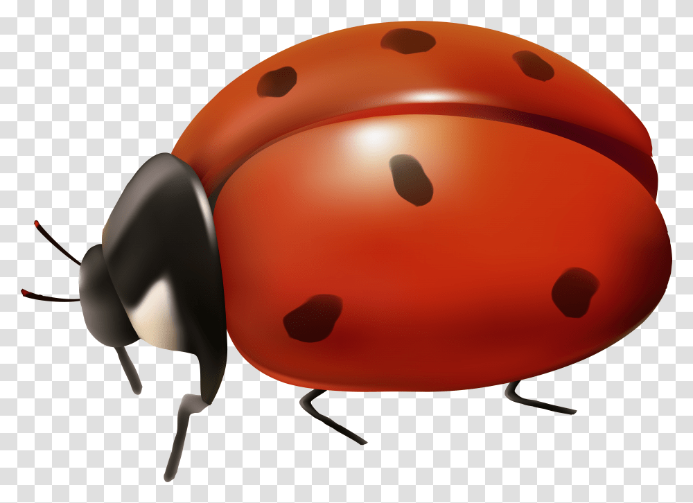 Ladybird Beetle Clip Art Background Ladybug Clip Art Transparent Png