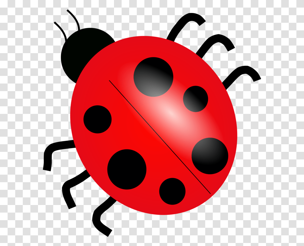 Ladybird Beetle Drawing Cartoon Ladybird Ladybird, Ball, Bowling, Dice, Game Transparent Png