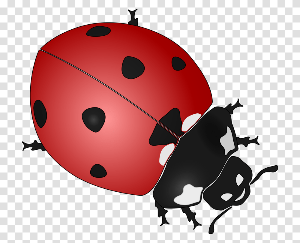 Ladybird Beetle Drawing Download, Ball, Sport, Sports, Bowling Transparent Png