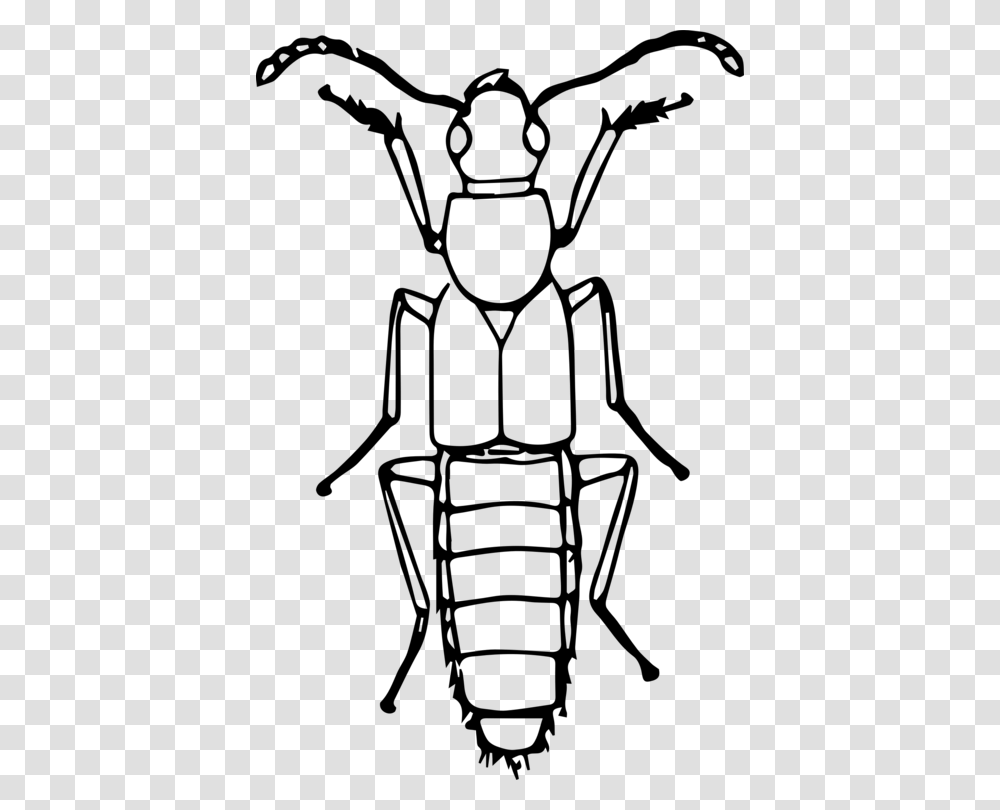 Ladybird Beetle Drawing Line Art True Bugs, Gray, World Of Warcraft Transparent Png