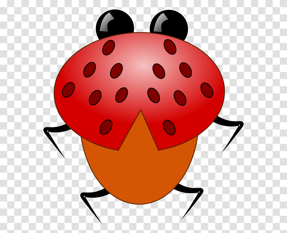 Ladybird Beetle Drawing Spotted Lady Beetle Cartoon Free Transparent Png