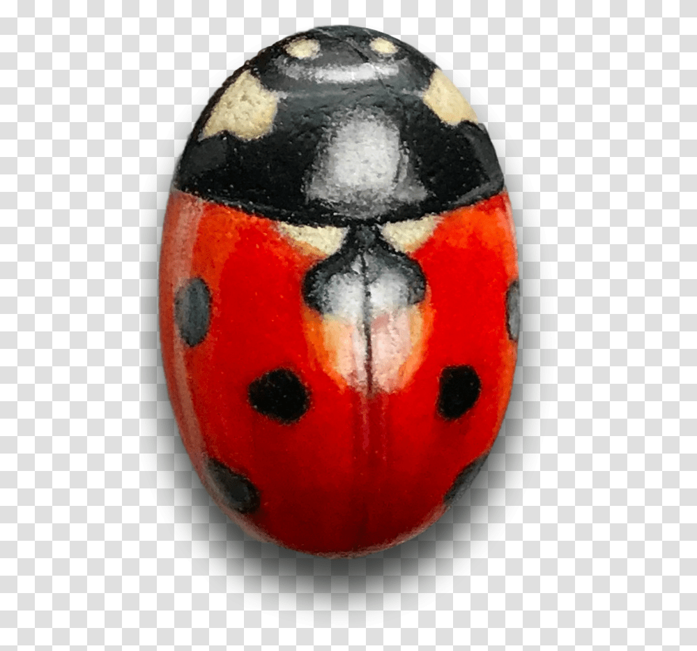 Ladybird Beetle, Egg, Food, Snowman, Winter Transparent Png