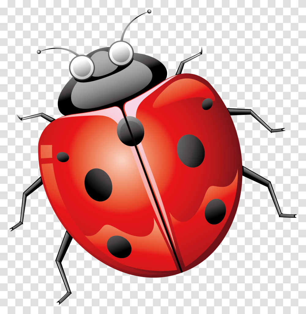 Ladybird Beetle Euclidean Vector Seven Star Ladybug Beetles, Helmet, Clothing, Bomb, Weapon Transparent Png