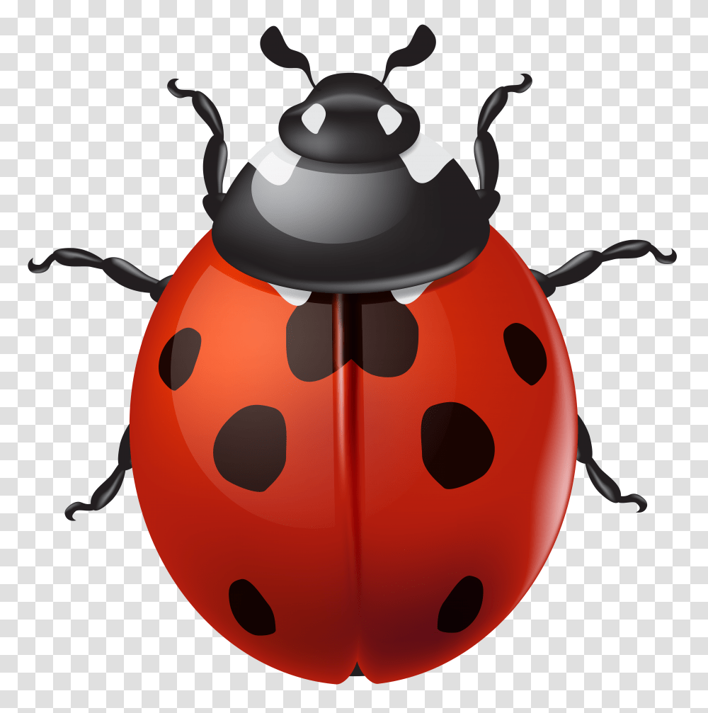 Ladybird Clip, Lamp, Lantern, Pot, Oven Transparent Png