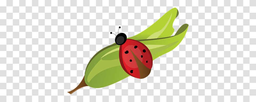 Ladybug Nature, Plant, Food, Vegetable Transparent Png