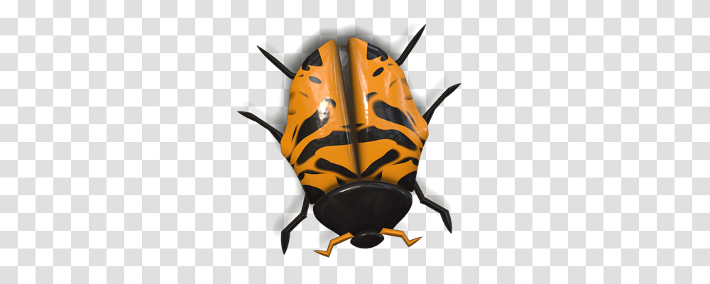 Ladybug Nature, Animal, Insect Transparent Png