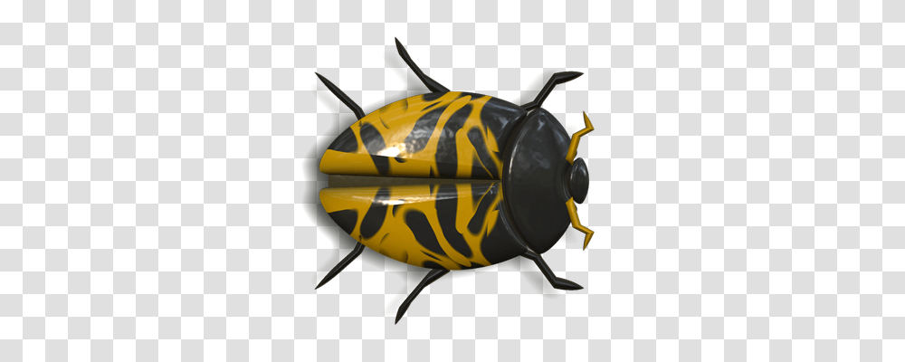 Ladybug Nature, Bomb, Weapon, Weaponry Transparent Png