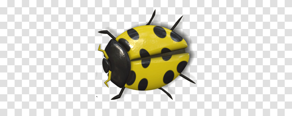 Ladybug Nature, Fish, Animal, Sea Life Transparent Png