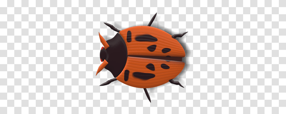 Ladybug Nature, Animal, Insect, Invertebrate Transparent Png