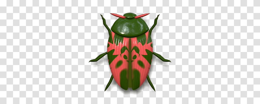 Ladybug Nature, Insect, Invertebrate, Animal Transparent Png