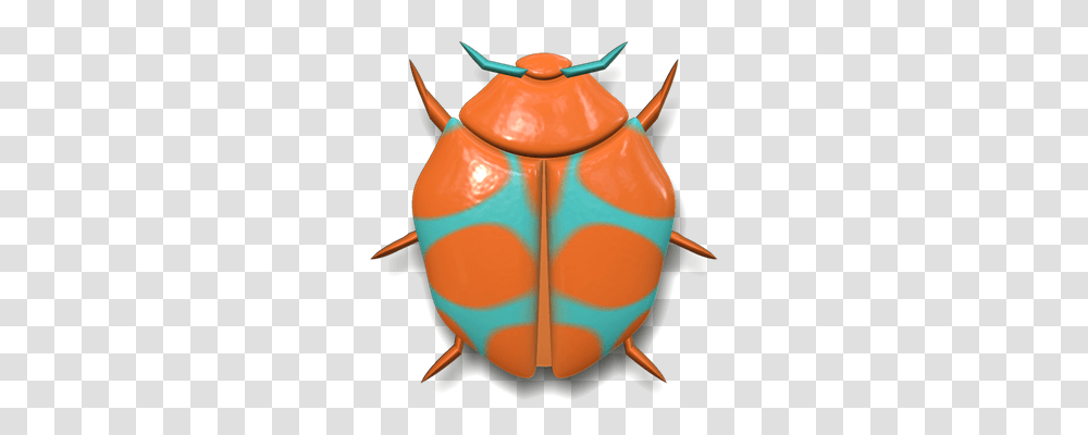 Ladybug Nature, Invertebrate, Animal, Insect Transparent Png