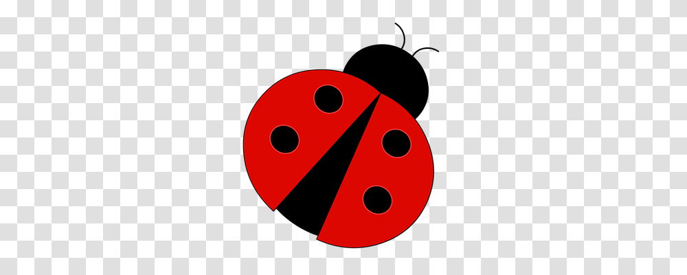Ladybug Nature, Dice, Game, Disk Transparent Png